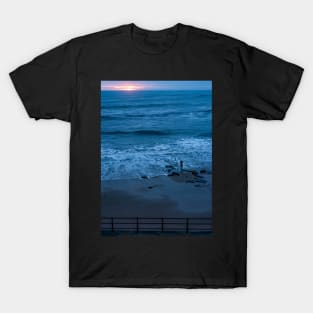 Sunrise Snapper T-Shirt